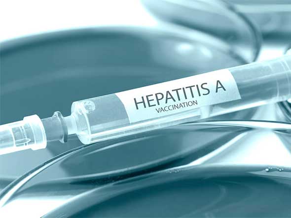 Hepatit Aşısı